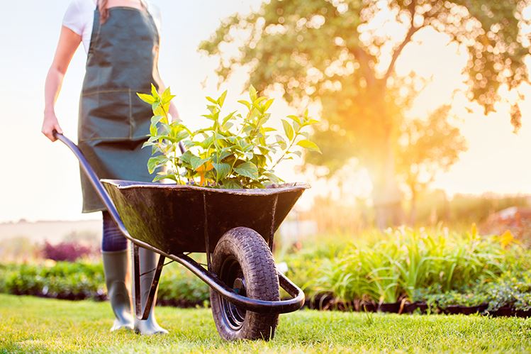 Ten a punto el jardín para la llegada del verano
