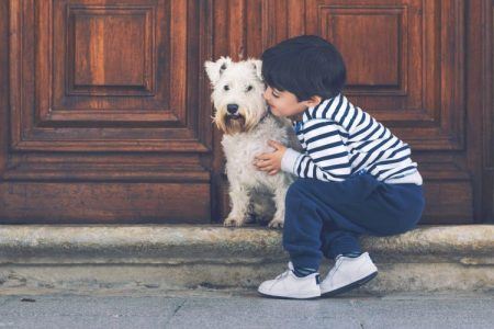 ¡La convivencia perfecta entre mascotas y niños!