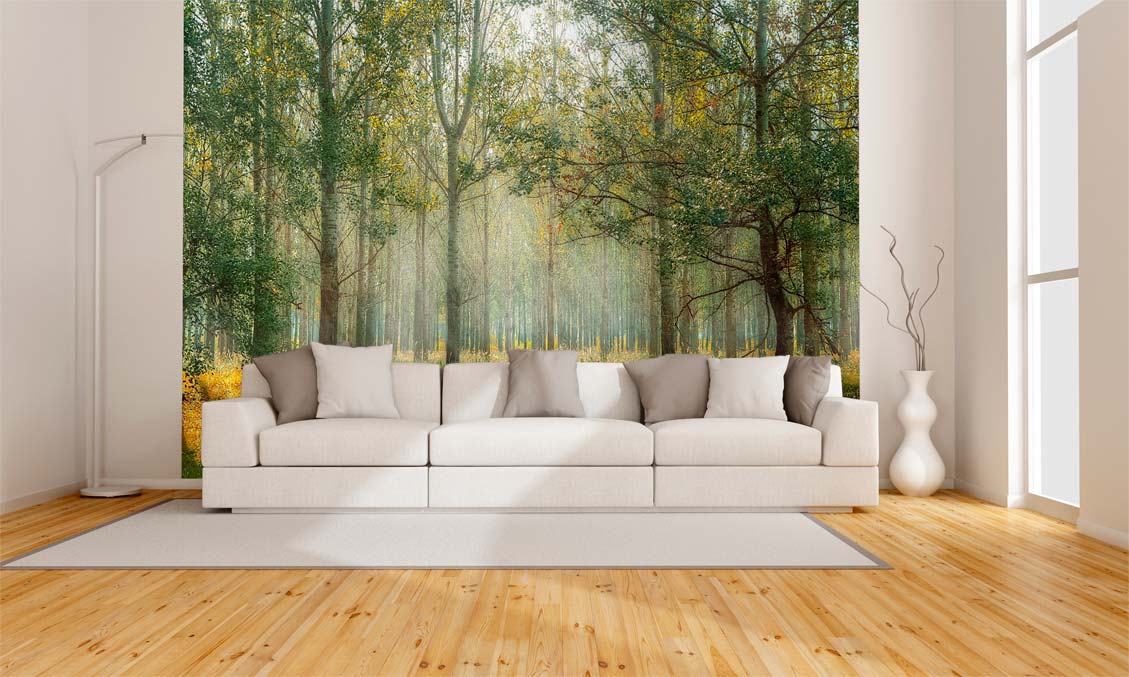 Fotomurales: da un giro a la decoración de tu casa