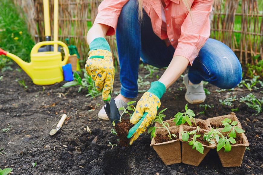 Huerto en casa: descubre todos sus beneficios