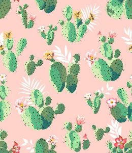 decoracion cactus