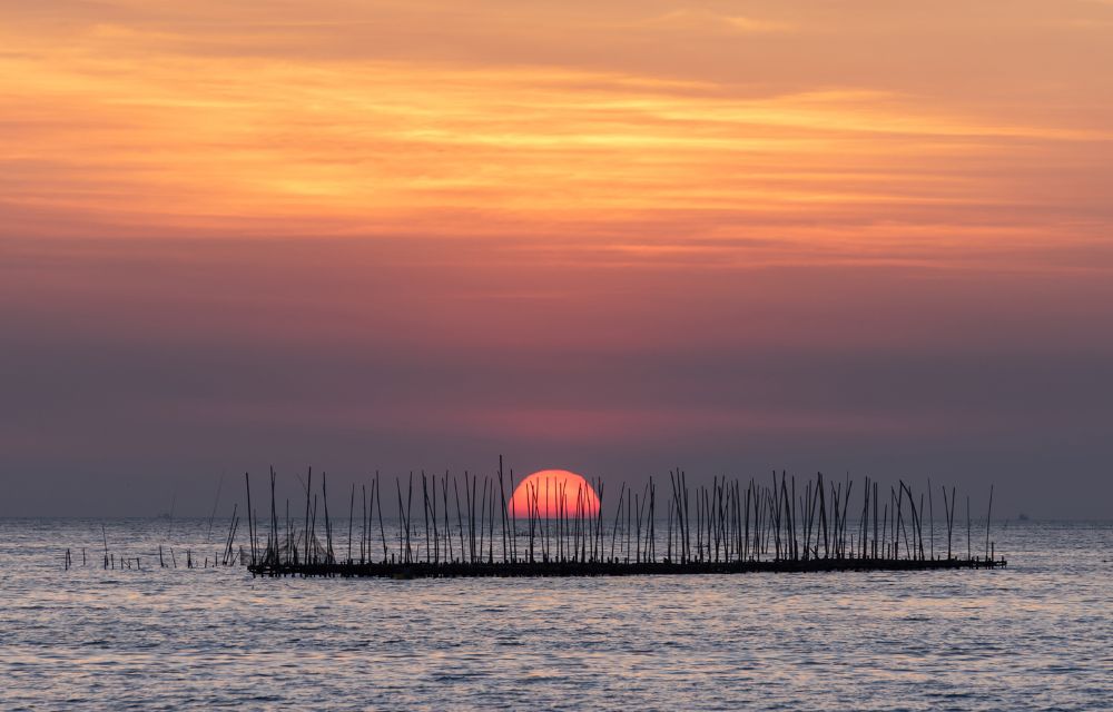 albufera-de-valencia albufera-de-valencia