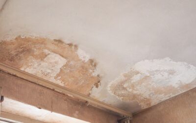 Cómo Detectar Humedades en Casa