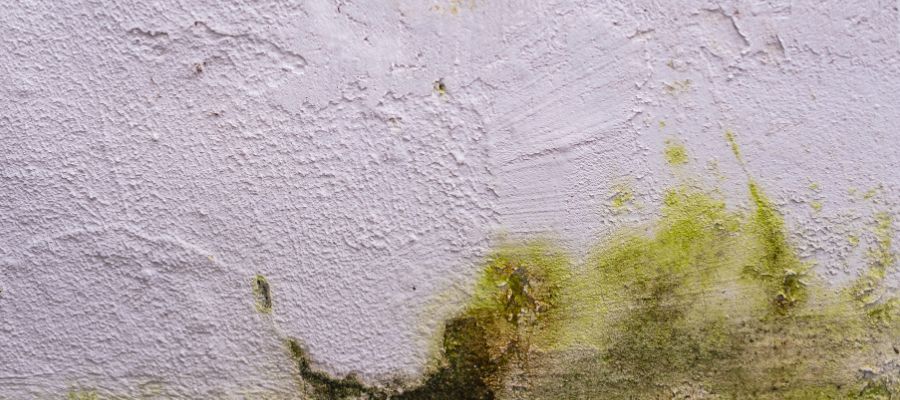 aplicar-pintura-antihumedad