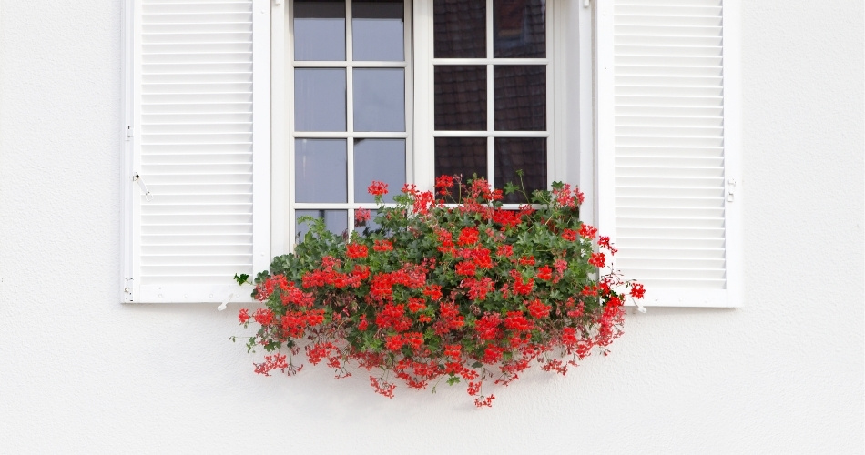 persiana-rota-casa persiana-rota-casa